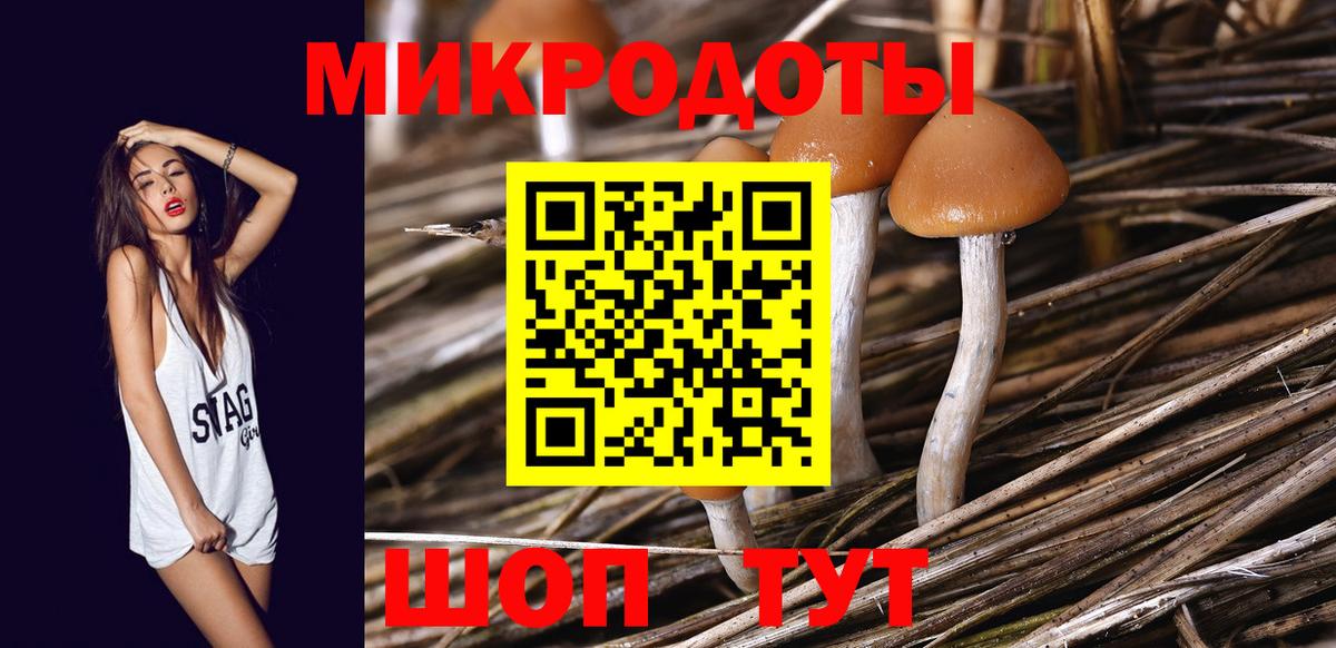купить закладку  Галлюциногенные грибы Magic Shrooms  Вход с VPN  Южноуральск 